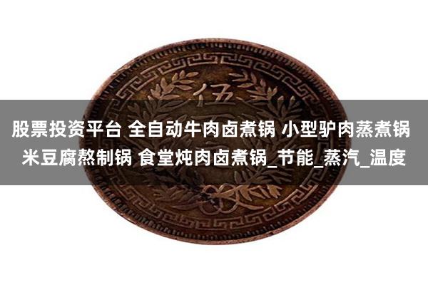 股票投资平台 全自动牛肉卤煮锅 小型驴肉蒸煮锅 米豆腐熬制锅 食堂炖肉卤煮锅_节能_蒸汽_温度