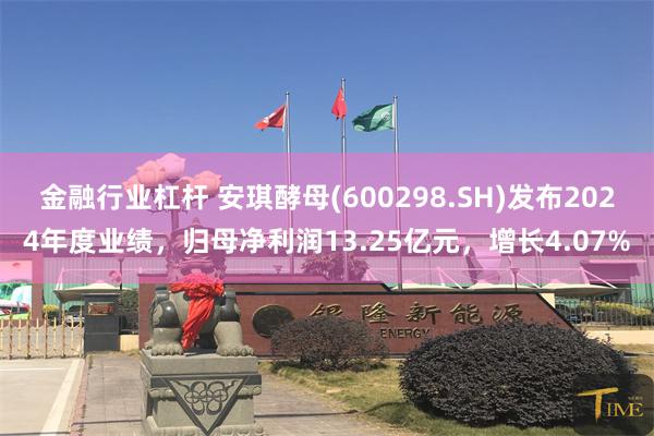 金融行业杠杆 安琪酵母(600298.SH)发布2024年度业绩，归母净利润13.25亿元，增长4.07%