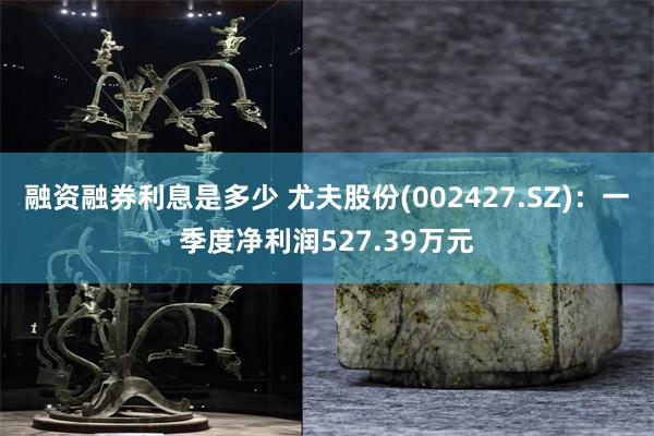 融资融券利息是多少 尤夫股份(002427.SZ)：一季度净利润527.39万元