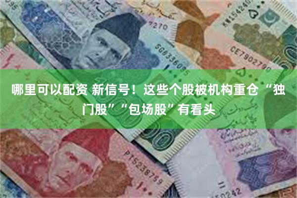 哪里可以配资 新信号！这些个股被机构重仓 “独门股”“包场股”有看头