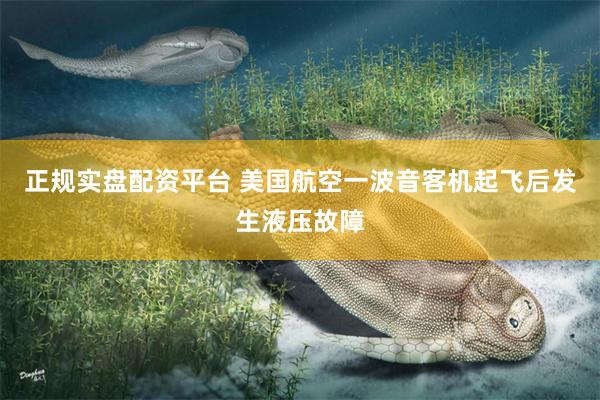 正规实盘配资平台 美国航空一波音客机起飞后发生液压故障