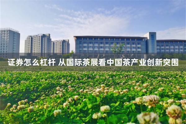 证券怎么杠杆 从国际茶展看中国茶产业创新突围