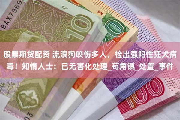 股票期货配资 流浪狗咬伤多人，检出强阳性狂犬病毒！知情人士：已无害化处理_苟角镇_处置_事件