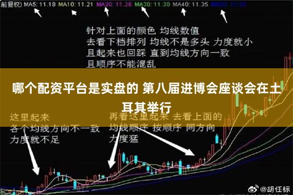 哪个配资平台是实盘的 第八届进博会座谈会在土耳其举行