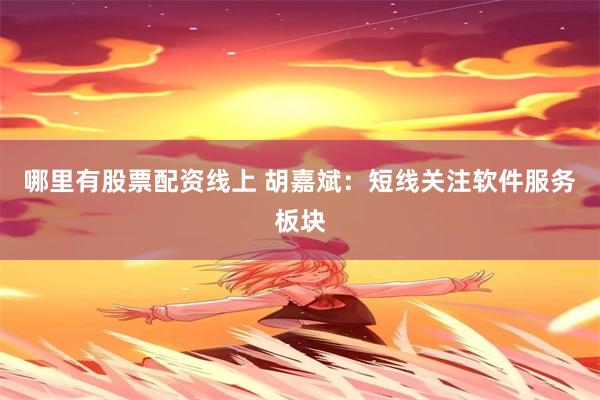 哪里有股票配资线上 胡嘉斌：短线关注软件服务板块