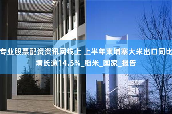 专业股票配资资讯网线上 上半年柬埔寨大米出口同比增长逾14.5%_稻米_国家_报告