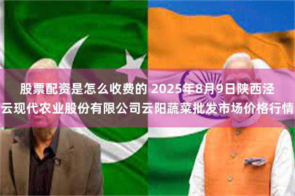 股票配资是怎么收费的 2025年8月9日陕西泾云现代农业股份有限公司云阳蔬菜批发市场价格行情