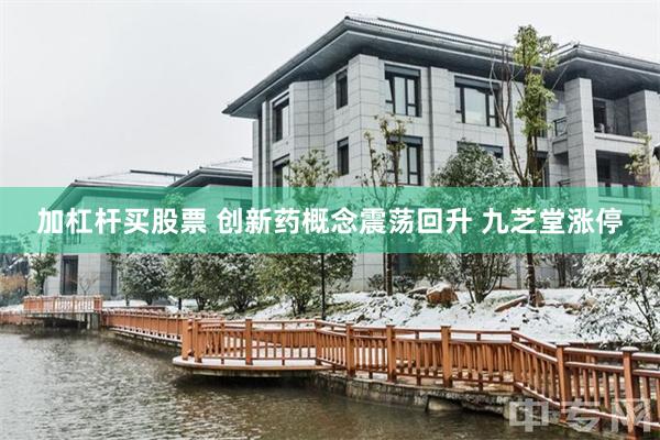 加杠杆买股票 创新药概念震荡回升 九芝堂涨停