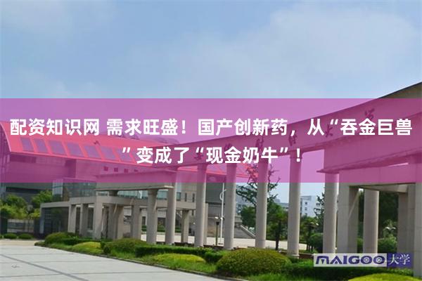 配资知识网 需求旺盛！国产创新药，从“吞金巨兽”变成了“现金奶牛”！